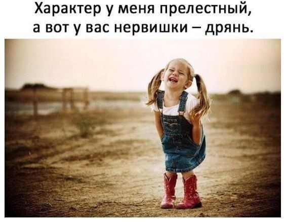 Характер у меня прелестный а вот у вас нервишки дрянь