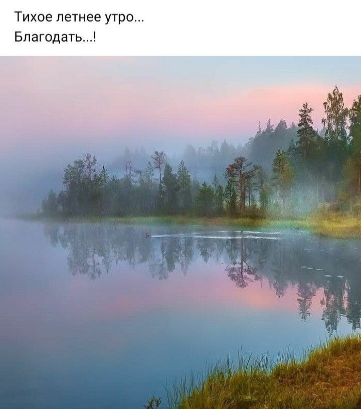 Тихое летнее утро Благодать