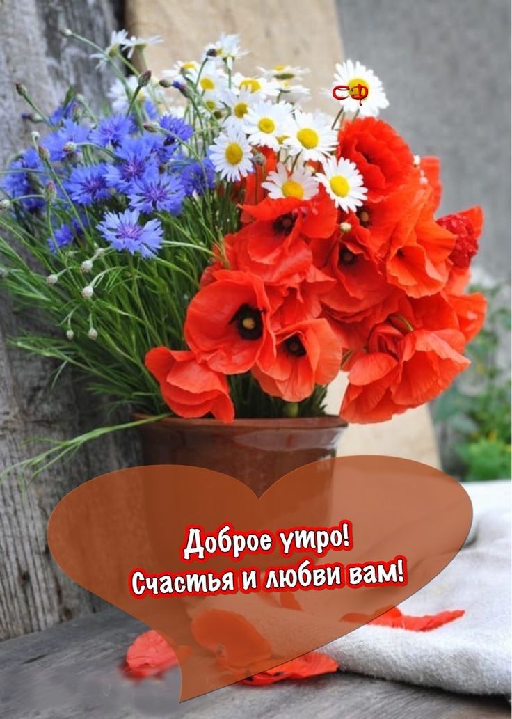 доброе умрбі _ Счастья и любви вам
