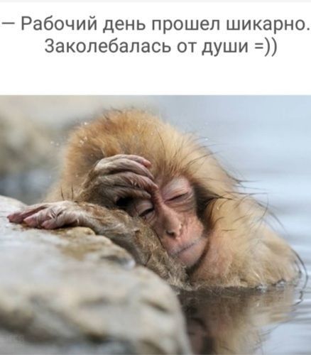 Рабочий день прошел шикарно Заколебалась от души