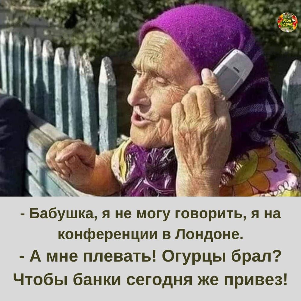 Бабушка я не могу говорить я на конференции в Лондоне А мне плевать Огурцы брал Чтобы банки сегодня же привез