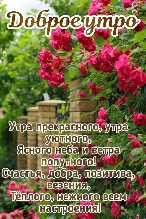 уют ногов попутного гдобрщщ г нежного наст оения _ Р в А