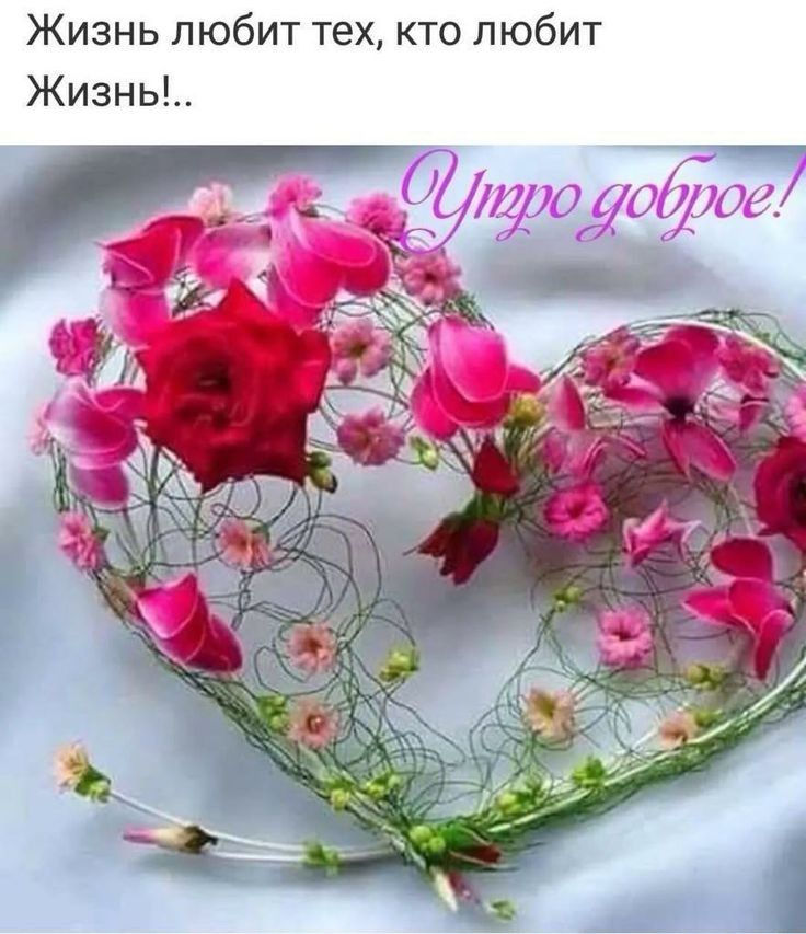 Жизнь любит тех кто любит Жизнь