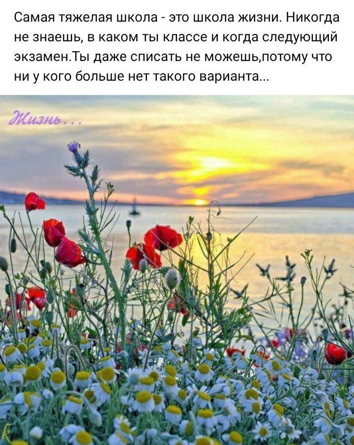 Самая тяжелая ШКОПЗ ЭТО ШКОЛЗ ЖИЗНИ НИКОГДЗ не знаешь В каком ТЫ КЛЗССЕ И когда СЛЕДУЮЩИЙ экзаменТы даже СПИСЗТЬ не МОЖЕШЬЛОТОМУ ЧТО НИ у КОГО больше нет ТЗКОГО варианта