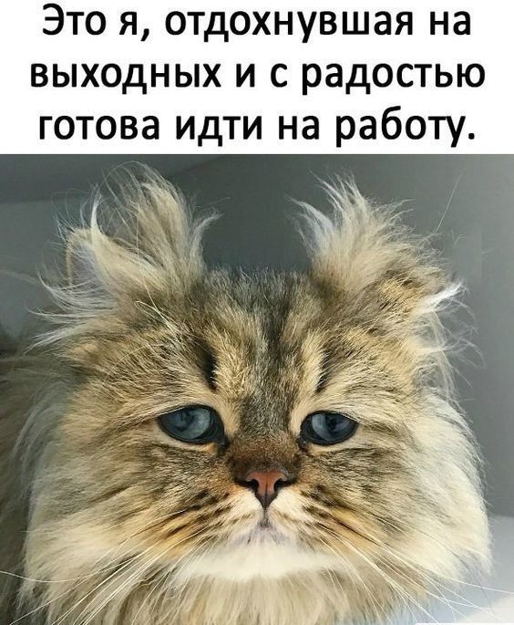 Это я отдохнувшая на выходных и с радостью готова идти на работу