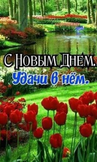 ?ёк'т  не 'е  оо