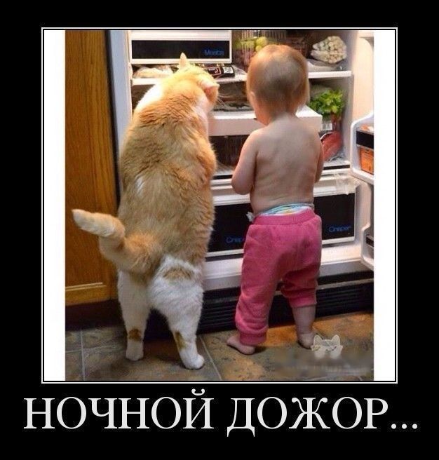 ' '. Эйк  6ь   г  « оча ночной дожор...