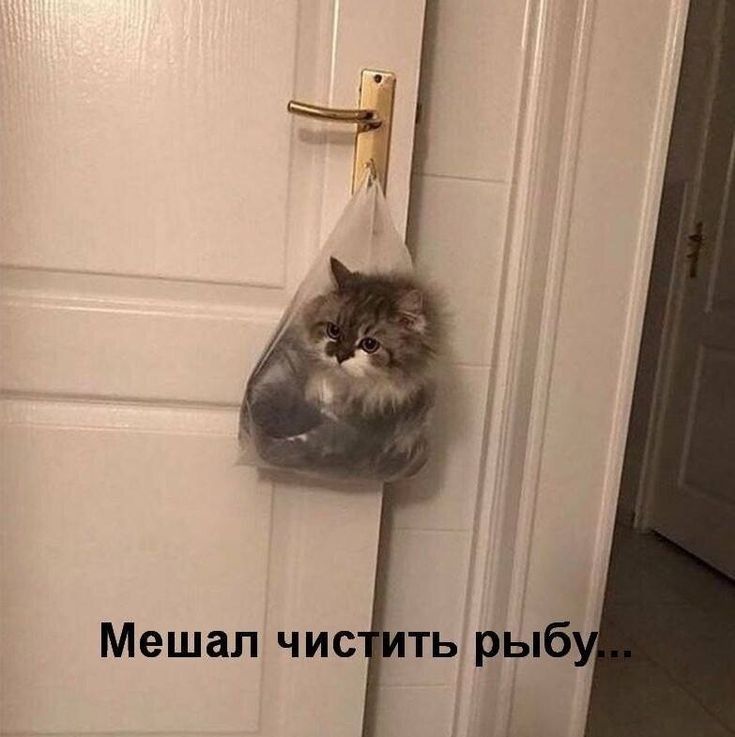 Мешал чистить ры