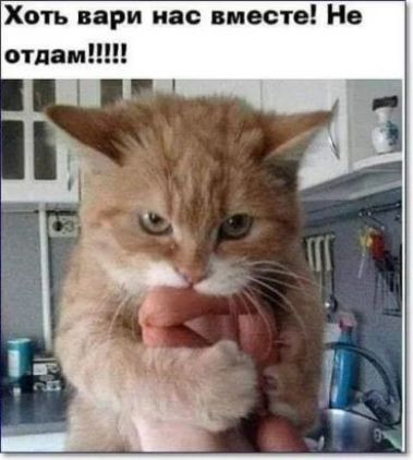 Хоть Бари иас вместе Не силами