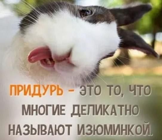Э 0 ТО ЧТО МНОГИЕ ДЕПИКАТН НАЗЫВАЮТ ИЗЮМИНКО