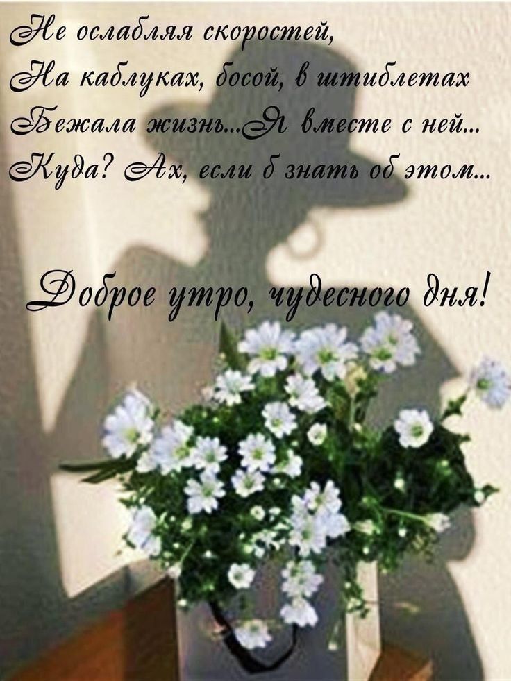 ослабиш то