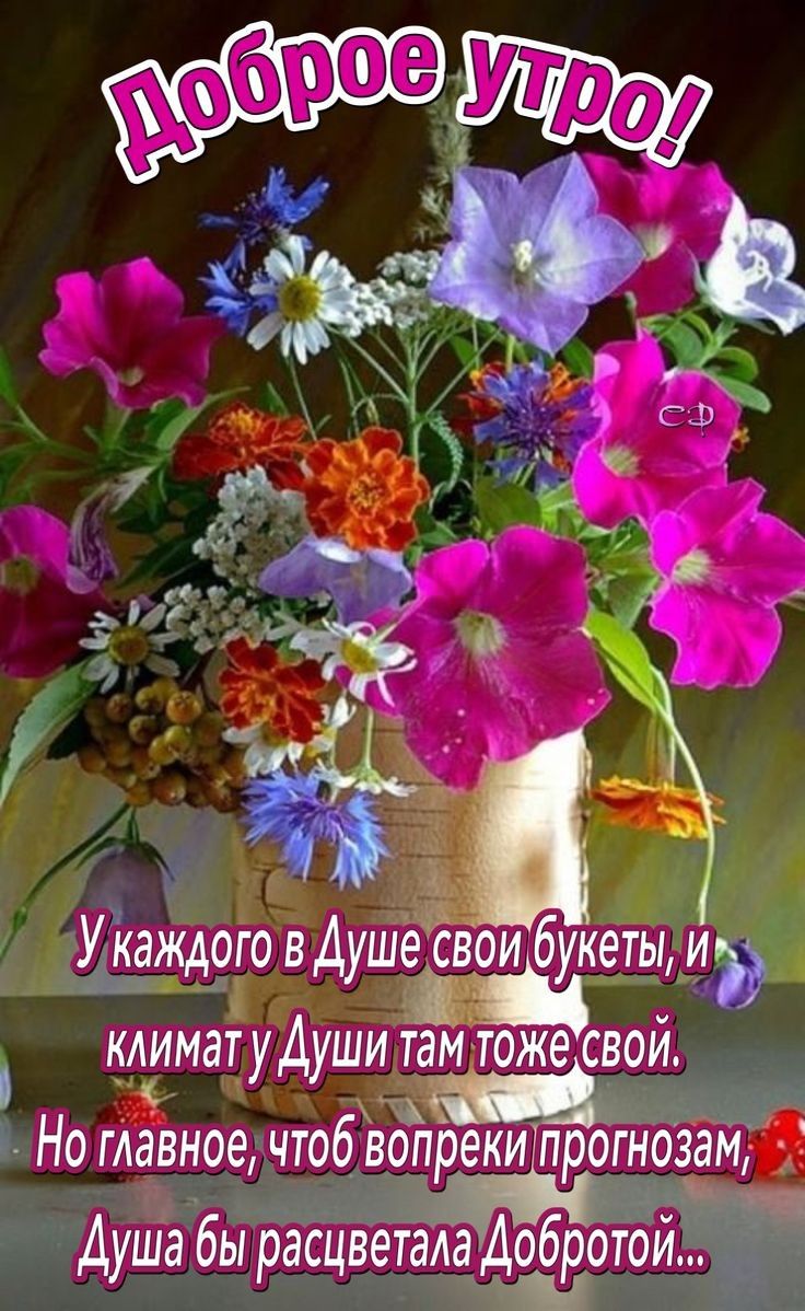 Ётаждото в Душеёвіои букеты ИЭ климат удуши там тоже свой Но павное чтоб вопрекиіпрогнозам ТЧ АуШа бы ресиветала Добротои