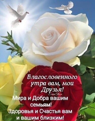 Благословенного утра вам мои Дркзья ра и добра вашим семьям орпвья и Счастья вам и вашимблизким