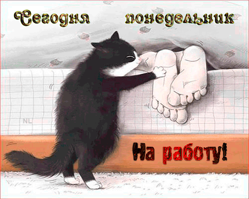 тезщша іщнеуёдьниы