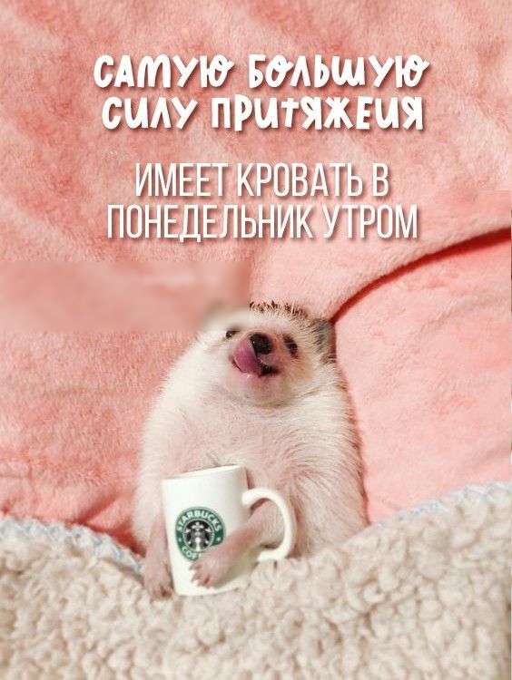 шышмим УЩЬЫ __ шриадгьз жшгшщшцдззюж