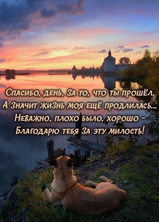 А значит жизнымоя ещё продлилась.  Аьваа  неважно, плохо былозхорошо благодарю тебя за эту милость!