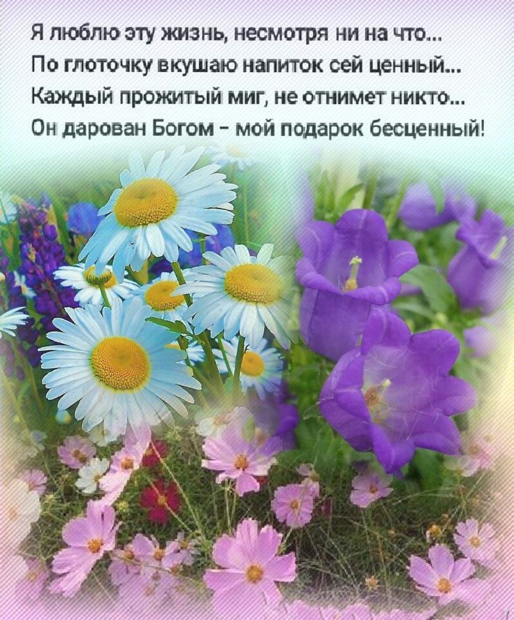 Я люблю эту жизнь несмотря ни на что По глоточку вкушаю напиток сей ценный Каждый прожитый миг не отнимет никто Он дарован Богом мой подарок бесценный