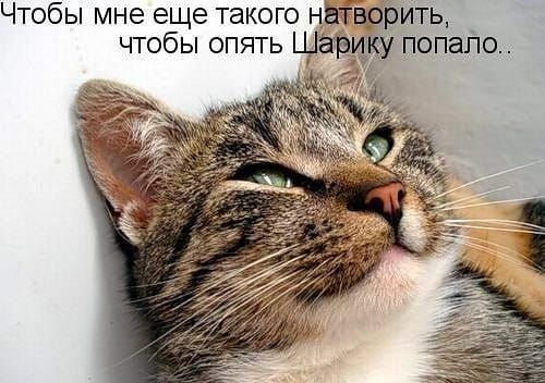Чтобы мне еще такого н чтобы опять ща ТЬ попало