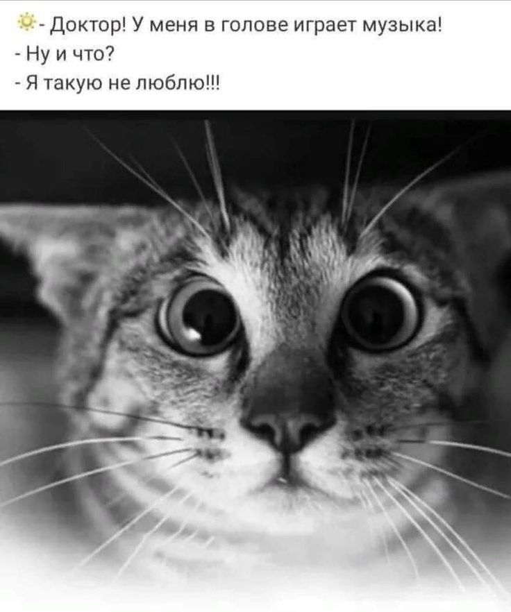 Доктор У меня в голове играет музыка Ну и что Я такую не люблю