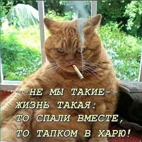 О ТАПКОМ В АРЮ