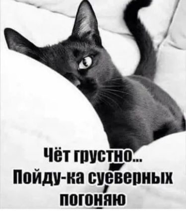 Чёт тщетно Пойду иа суевепиых поюияю
