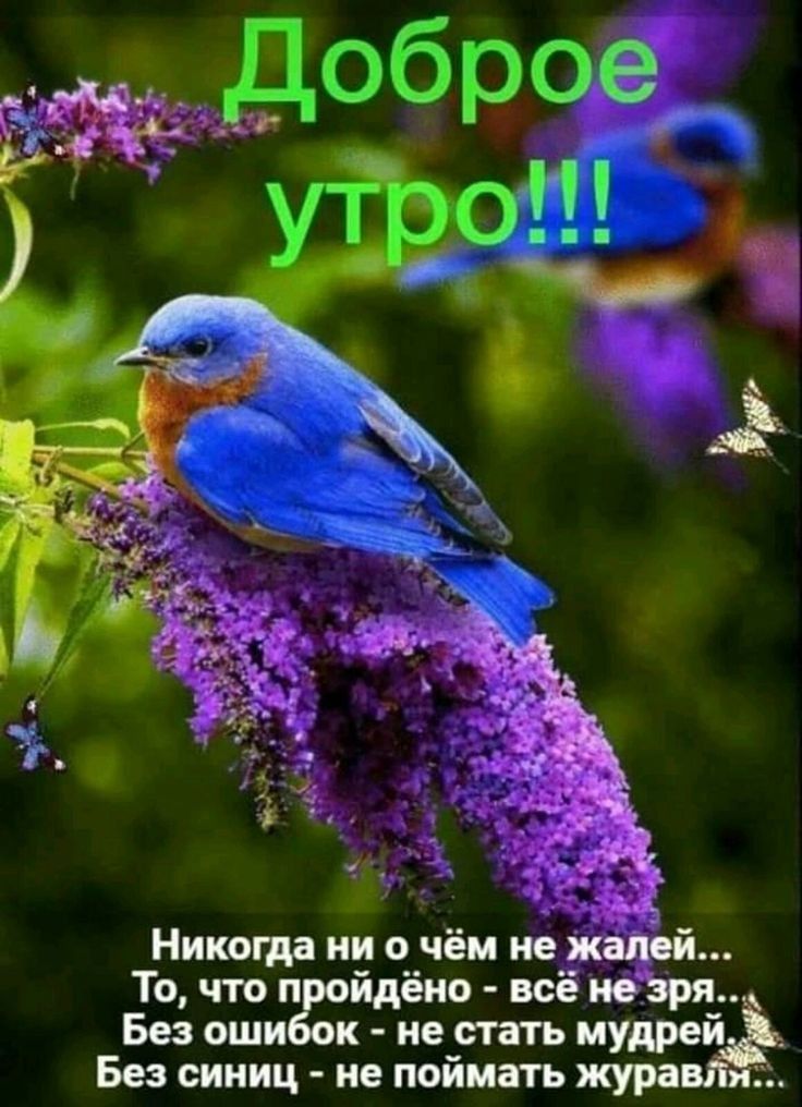 То что п йдёно всё не Без оши к не стать мудрей Без синиц не поймать жура