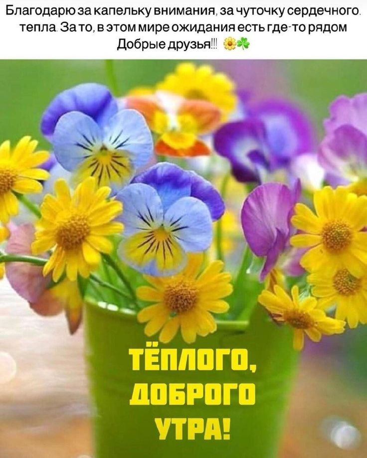 Благодарю за капельку внимания за чуточку сердечного тепла За то в этом мире ожидания есть гдето рядом Добрые друзья 31 тЁішогп лпвгпгп при с