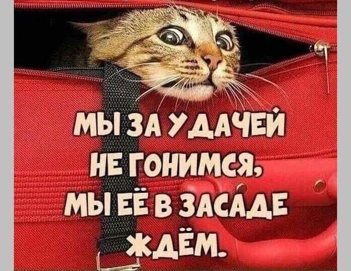 мБіЁЗА УДАЧЁИ и гонимся мы ЕЁ в здам дим