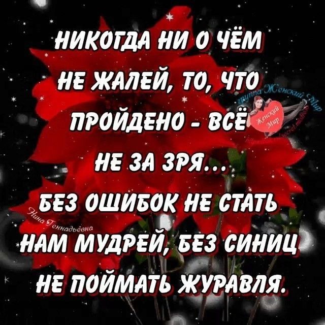 ТникагдА дид чёт нв ЖАЛЕЙ то что пройдено ведём нг зА зря _ вез ошйвок не стАть інлм ЙУДРЕЙ 553 синиц не поймАть жтвля