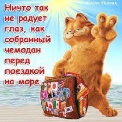 перед поездкой