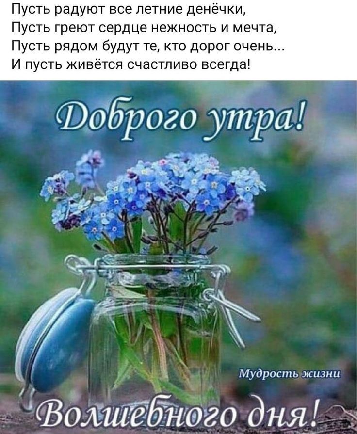 Пусть радуют все летние денёчки Пусть греют сердце нежность и мечта Пусть рядом будут те кто дорог очень И пусть живётся счастливо всегда 036519030 утра Мудрость жизни ебнэго днаж