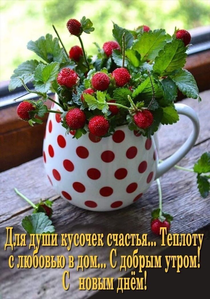 ДлЯд и кувочек счастья Теплот _ ом С добрым утром дийцнём