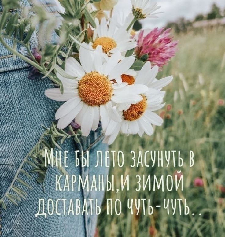 Ми зимой! Ко то лгь чуть..