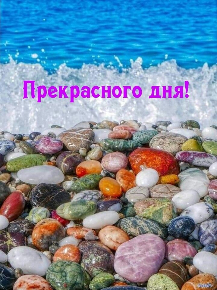 с _ ч _ 11 Прекрасного дня