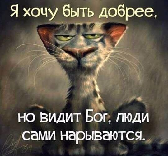 Я хочу быть добрее но видит Ббг люди сами нарываются