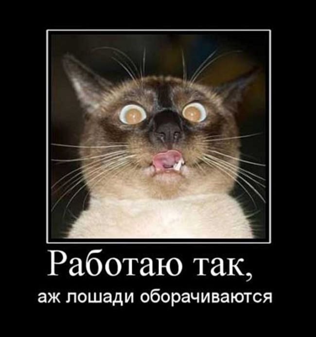 Работаю так ЭЖ ПОШЭДИ оборачиваются
