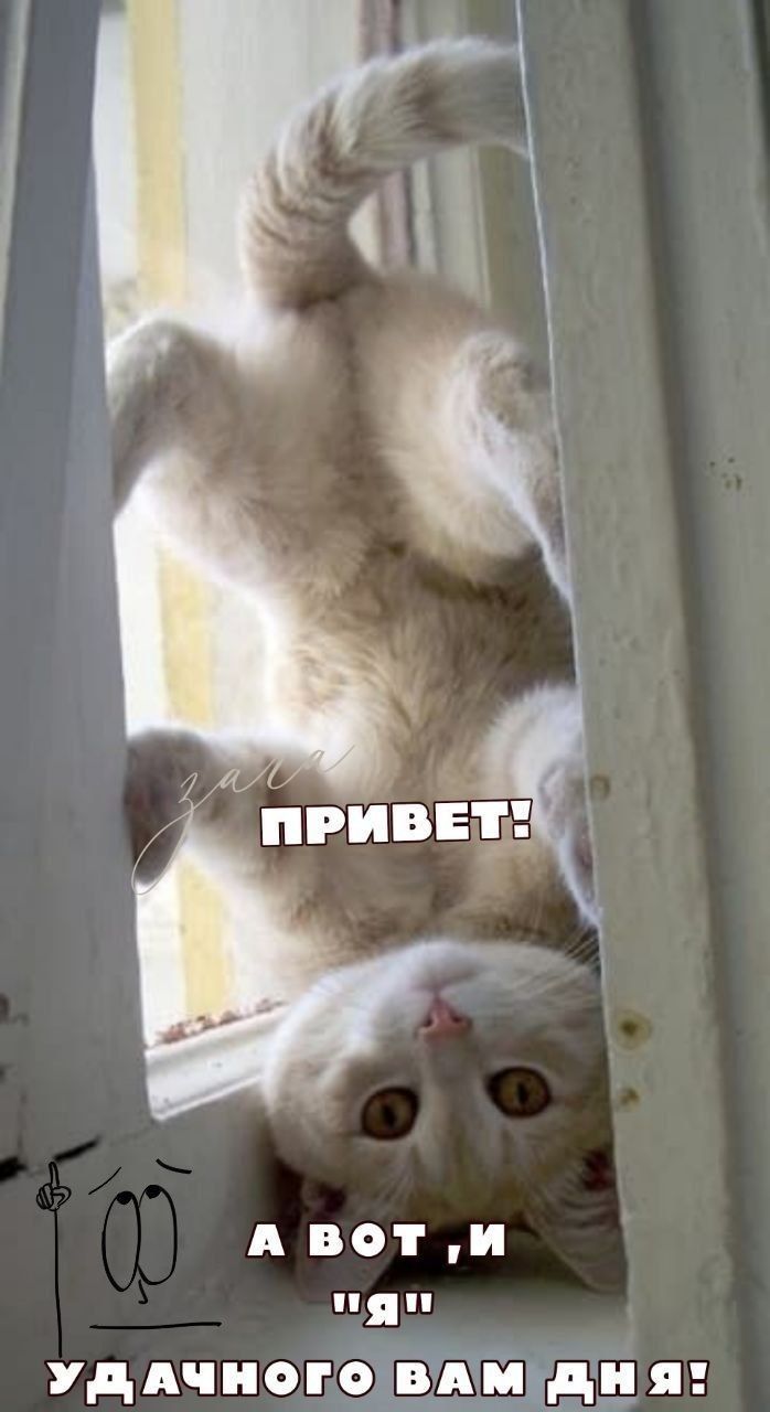 А вот и Я УДАЧНОГ_Ч_ЁЁЙ ддт