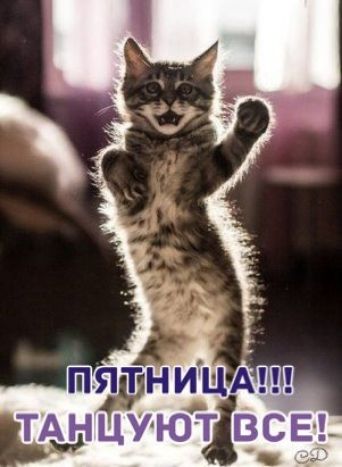 ппятниіщА тыл Ёюивсвч
