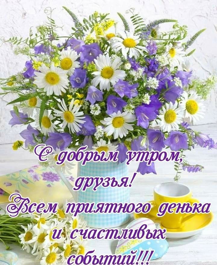 ног ПРЦЯШ енька ых 00 и и т ы ч ати а г