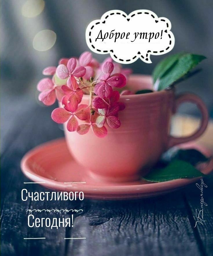 Счастливого _ Сегодня 3 і