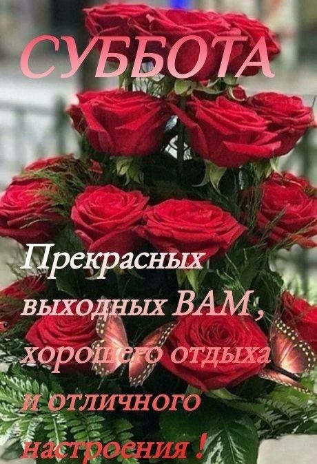 31 ЦЭТЛИЧНОГО р 6 К с 3