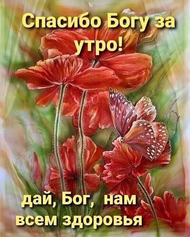 Ем здоровья оа йвь 7а в
