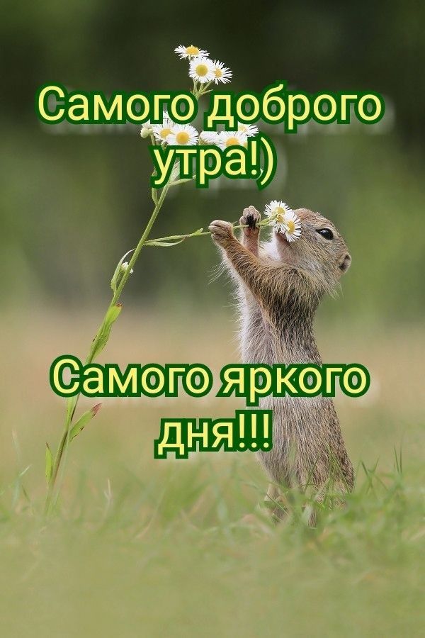 самого доброго