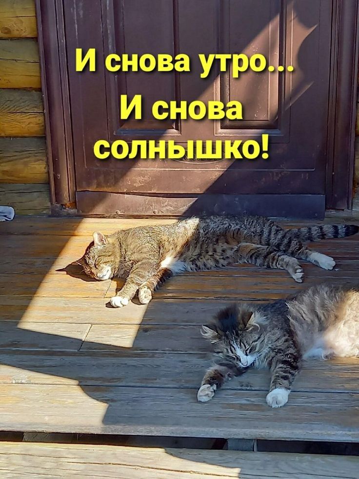 и сва УЁЧЦ солнышко