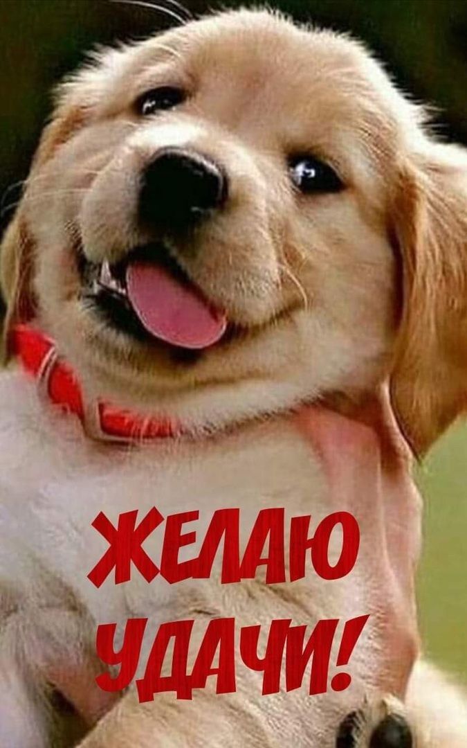 м