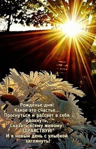 дикий Ёс Ьеиухи му эдаддствуйі И ыидеиь с улыбкой зы яду