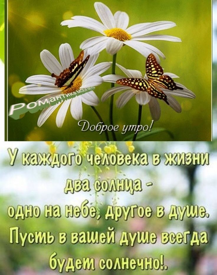 Пусть в ващейдуше взад _ Ёбфдшисоднечнрд