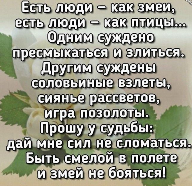 Естьулюдир укакизмей шщшф какттицы однимтсуждено пресмыкаться изллитьсяз