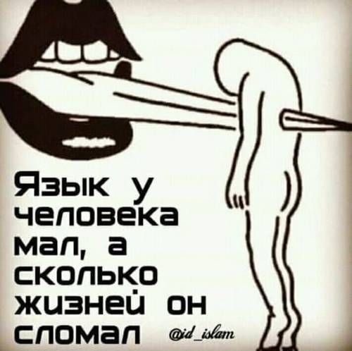 Язык человека мая а сколько жизнеи он _сппэмап швы А