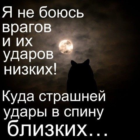 Я не боюсь врагов иих ударов низких Куда страшней удары в спину близких